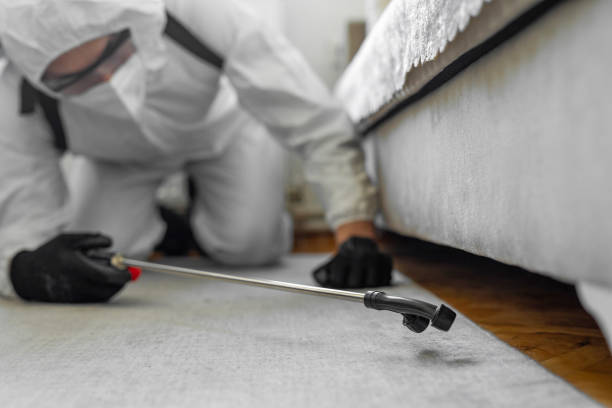 Professional Bed Bug Control technician working in High Ridge, MO