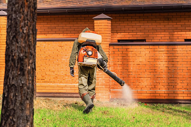 Trusted Bed Bug Control service in High Ridge, MO - Nex Pest Control